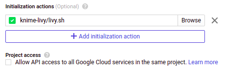 Livy Initialization
