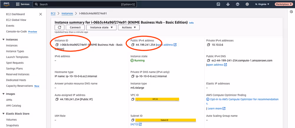 img AWS instance id and IPv4