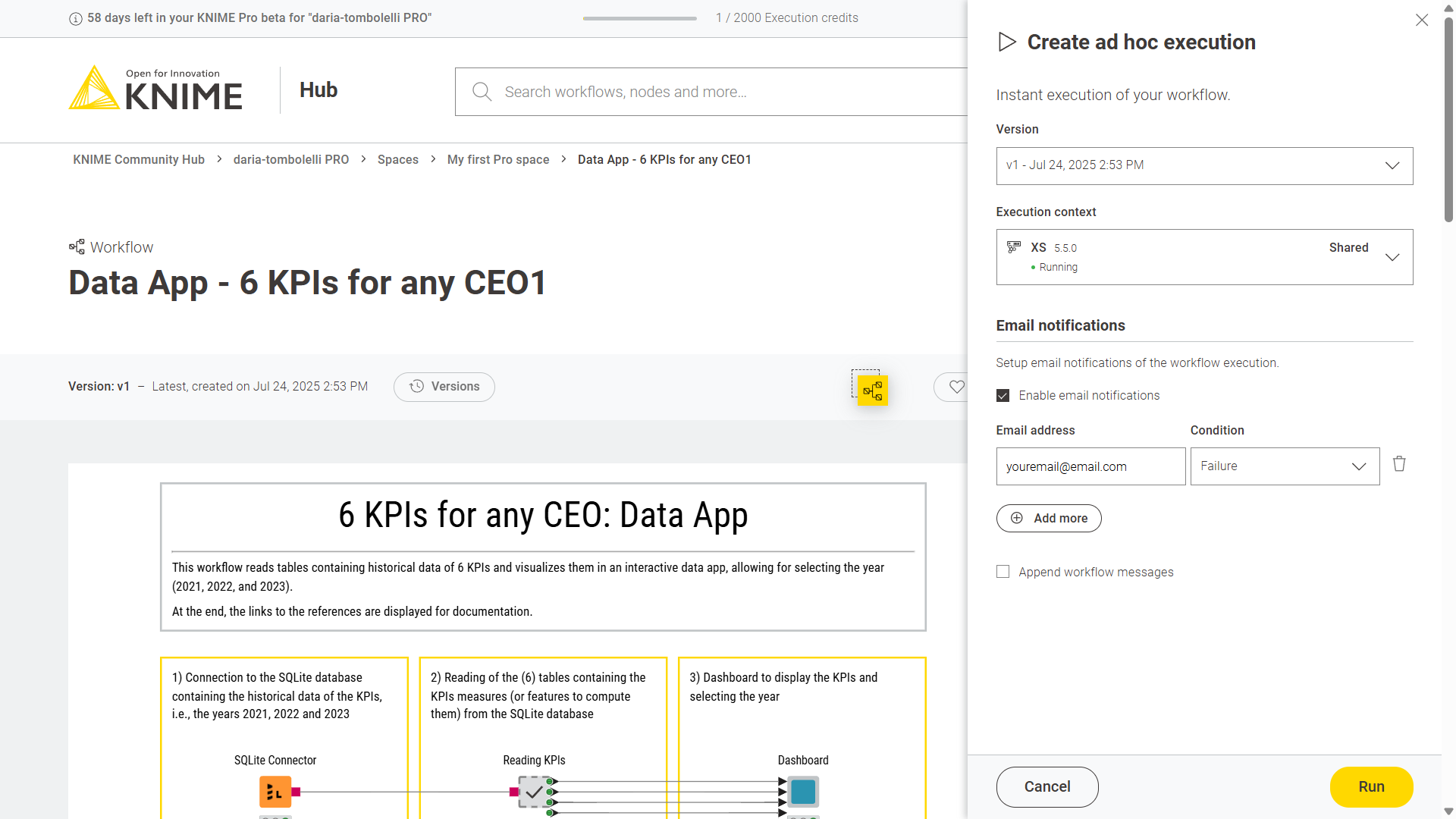 Ad hoc execution panel