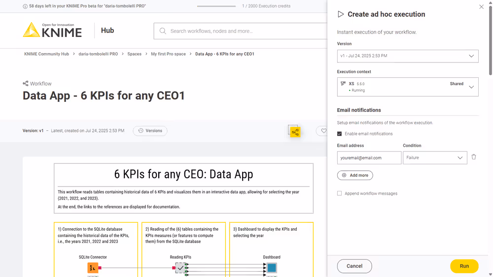 Ad hoc execution panel