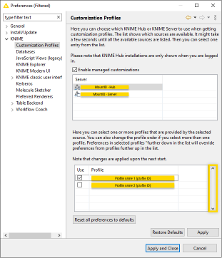 Customization profiles preferences window