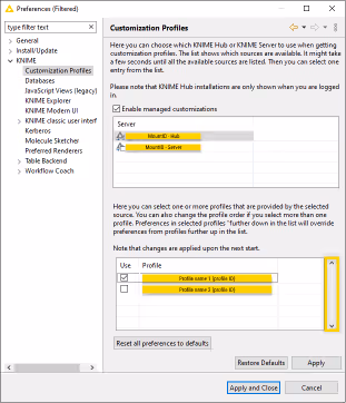 Customization profiles preferences window