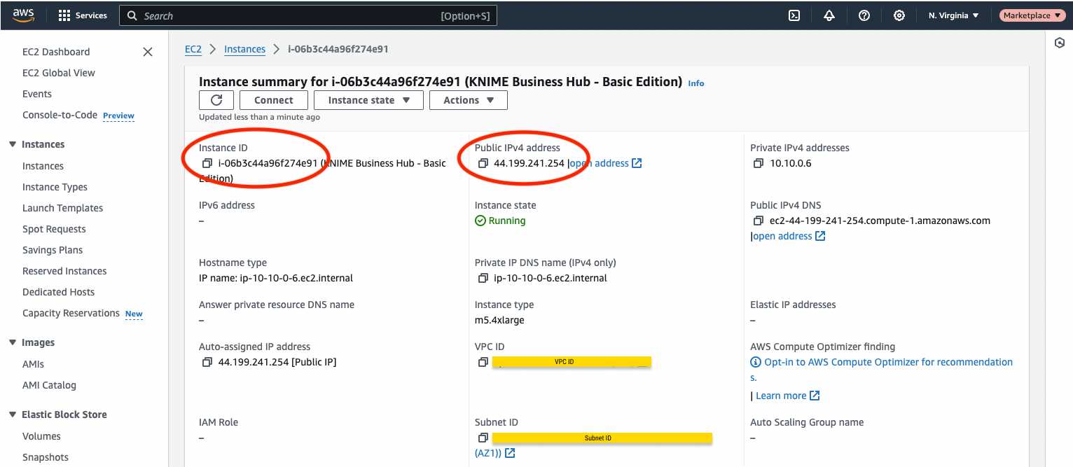 img AWS instance id and IPv4