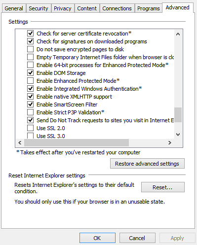 02 Internet Explorer Advanced Settings